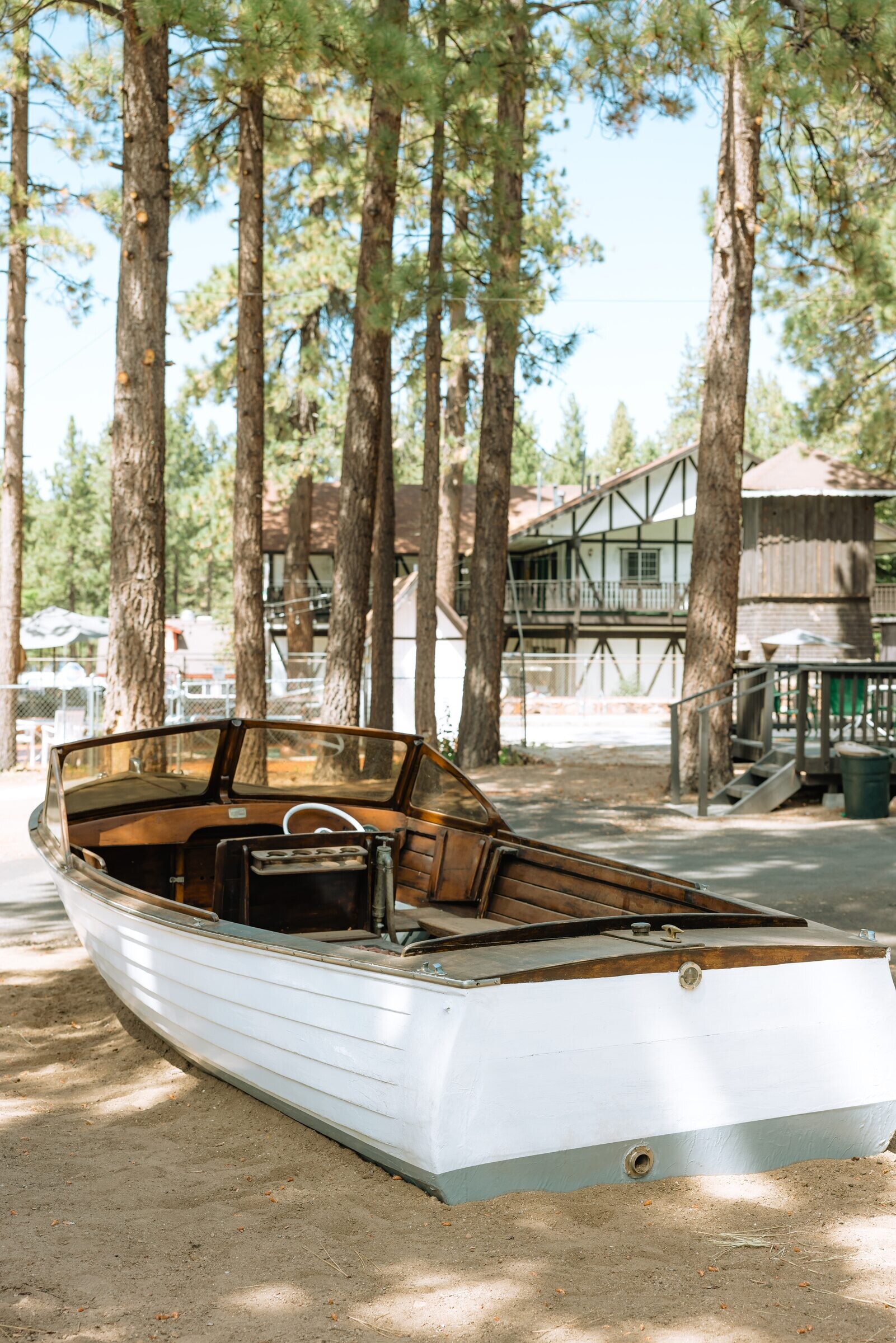 Pine-shaded property courtyard with vintage boat sculpture